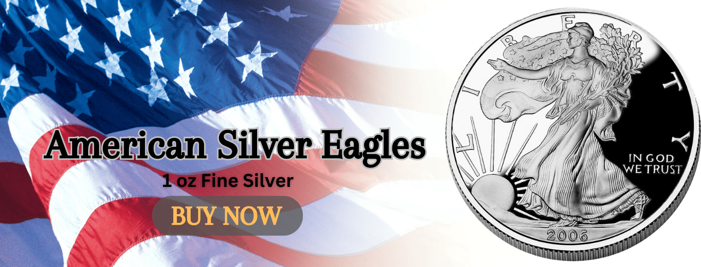 American silver eagles banner